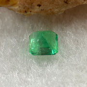 Natural Colombia Vivid Green Emerald (Beryl) Cut-Cornered Square Step cut 0.40ct 4.3 by 4.1 by 3.2mm - Huangs Jadeite and Jewelry Pte Ltd