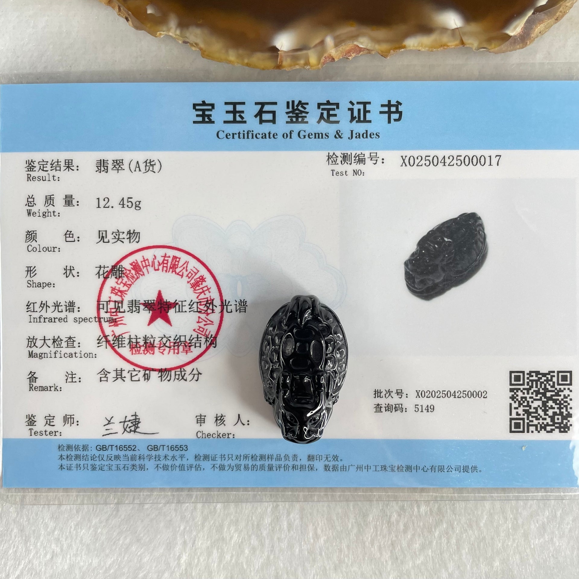 Type A Opaque Black Omphacite Jadeite Dragon Turtle with Coin Pendant Charm 12.45g 29.7 by 18.0 by 15.2mm - Huangs Jadeite and Jewelry Pte Ltd