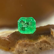 Natural Colombia Vivid Green Emerald (Beryl) Cut-Cornered Rectangular Step cut 0.48ct 4.9 by 4.5 by 3.0mm - Huangs Jadeite and Jewelry Pte Ltd