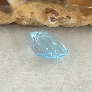Natural Sky Blue Topaz Trillion Shape 2.59ct 9.0 by 7.1 by 4.7mm - Huangs Jadeite and Jewelry Pte Ltd