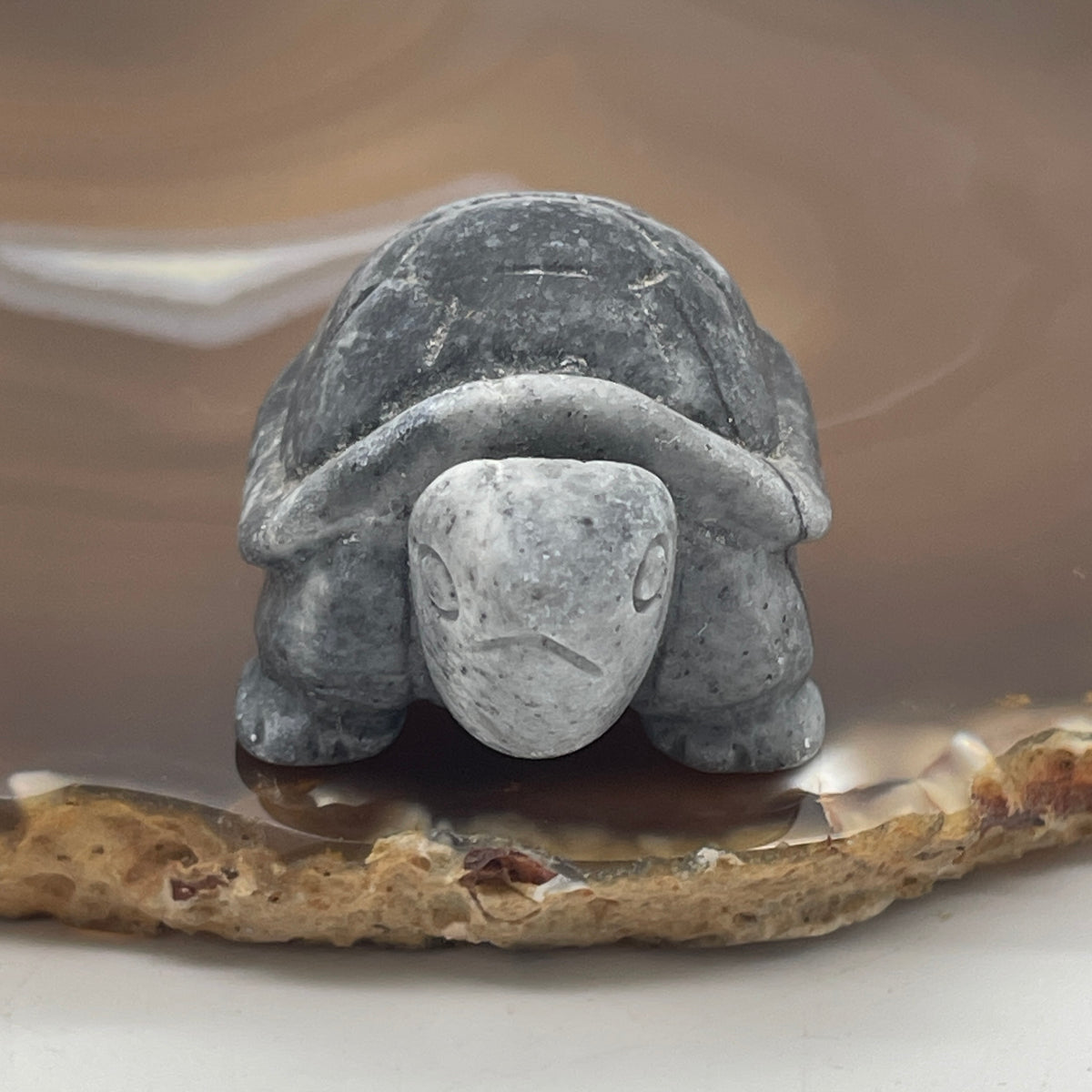 Natural Picasso Stone Turtle Mini Display Specimen | (47.34g | 52.0 x 32.5 x 26.5mm Dimensions | Root & Solar Plexus Chakra Synergy, Longevity Anchor, Creative Focus & Mindful Feng Shui Catalyst)