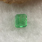 Natural Colombia Vivid Green Emerald (Beryl) Cut-Cornered Rectangular Step cut 0.42ct 4.6 by 4.1 by 3.0mm - Huangs Jadeite and Jewelry Pte Ltd