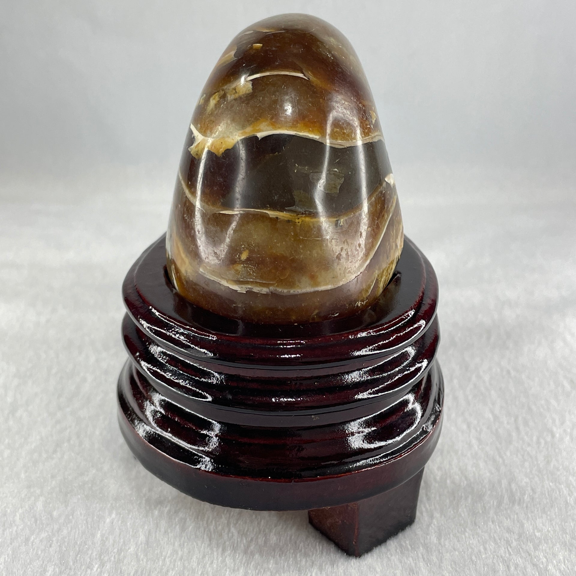 Natural Ammonite Ammonoid Fossil with Wooden Stand 490.3g 104.2 by 81.4 by 110.0mm - Huangs Jadeite and Jewelry Pte Ltd