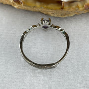 Natural Blue Tanzanite Ring in S925 Sliver 1.05g 4.0 by 2.5mm (Adjustable Size) - Huangs Jadeite and Jewelry Pte Ltd