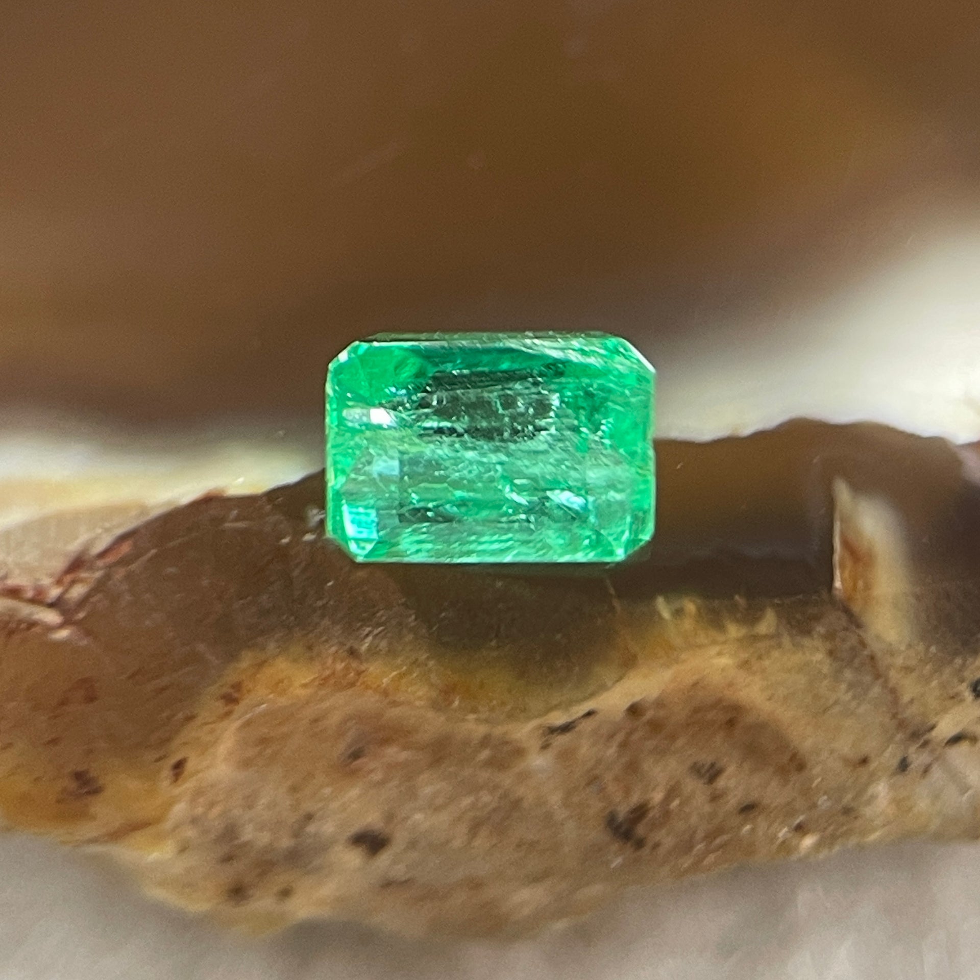 Natural Colombia Vivid Green Emerald (Beryl) Cut-Cornered Square Step cut 0.42ct 5.0 by 4.9 by 2.9mm - Huangs Jadeite and Jewelry Pte Ltd