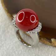 Rare Exceptional Grade Natural Round Red Coral 16.2mm with Natural Diamonds in PT900 Platinum Ring D0.85ct Total 16.2g US6.75 HK14.5 - Huangs Jadeite and Jewelry Pte Ltd