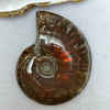 Natural Ammolite Fossil Display 51.53g 56.9 by 45.3 by 16.7mm - Huangs Jadeite and Jewelry Pte Ltd