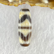 Natural Powerful Tibetan Old Oily Dark Brown White Yellow Agate Double Tiger Tooth Daluo Dzi Bead Heavenly Master (Tian Zhu) 双虎呀天诛 9.53g 36.8 by 13.1mm - Huangs Jadeite and Jewelry Pte Ltd
