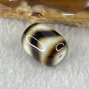 Natural Powerful Tibetan Old Oily Dark Brown with White Agate Tiger Tooth Daluo Dzi Bead Heavenly Master (Tian Zhu) 2.84g 13.7 by 10.9mm - Huangs Jadeite and Jewelry Pte Ltd