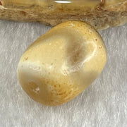 Natural Powerful Tibetan Old Oily Agate Tiger Tooth Daluo Dzi Bead Heavenly Master (Tian Zhu) 虎呀天诛 2.51g 13.6 by 10.6mm - Huangs Jadeite and Jewelry Pte Ltd