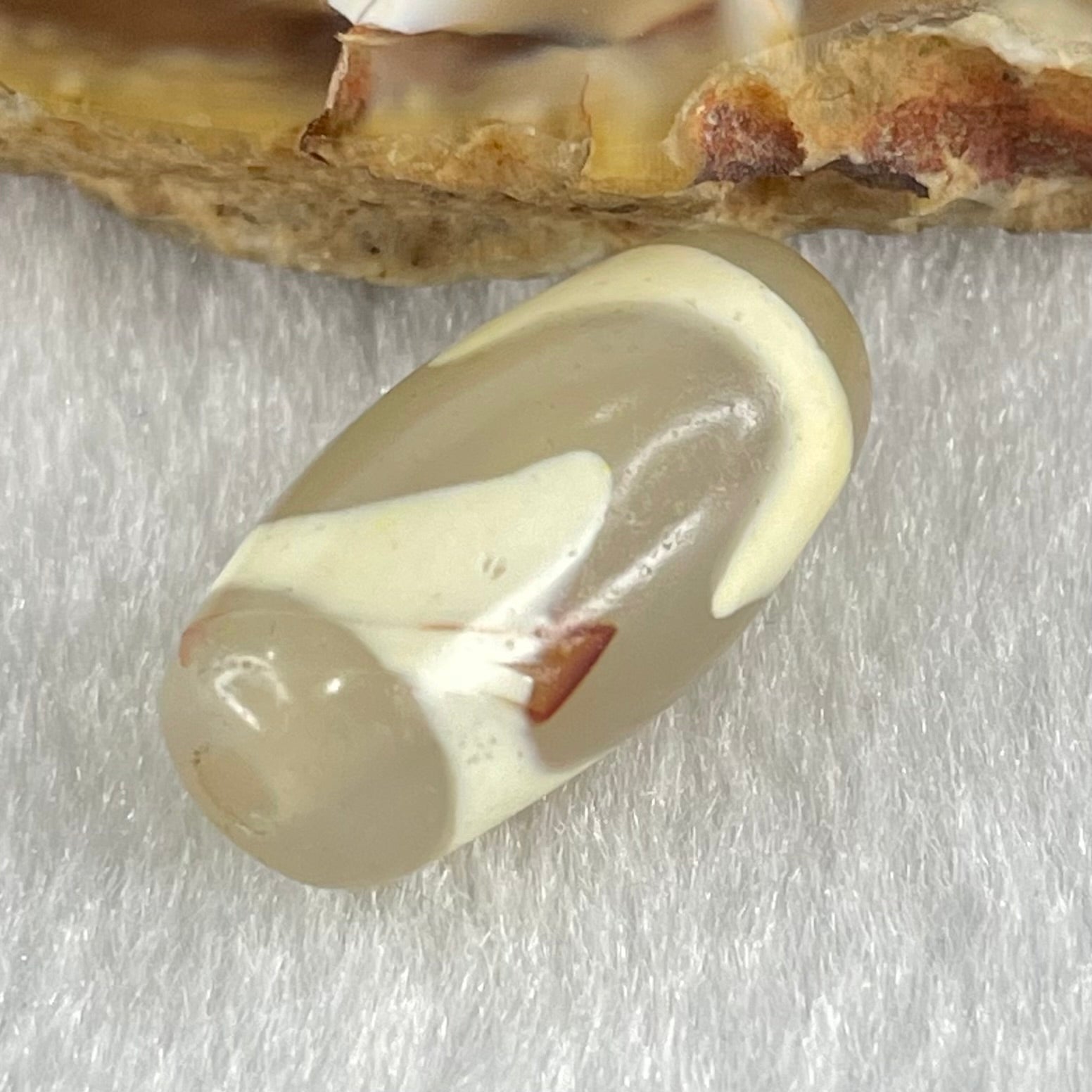Natural Powerful Tibetan Old Oily Agate Tiger Tooth Daluo Dzi Bead Heavenly Master (Tian Zhu) 虎呀天诛 2.81g 20.0 by 10.0mm - Huangs Jadeite and Jewelry Pte Ltd