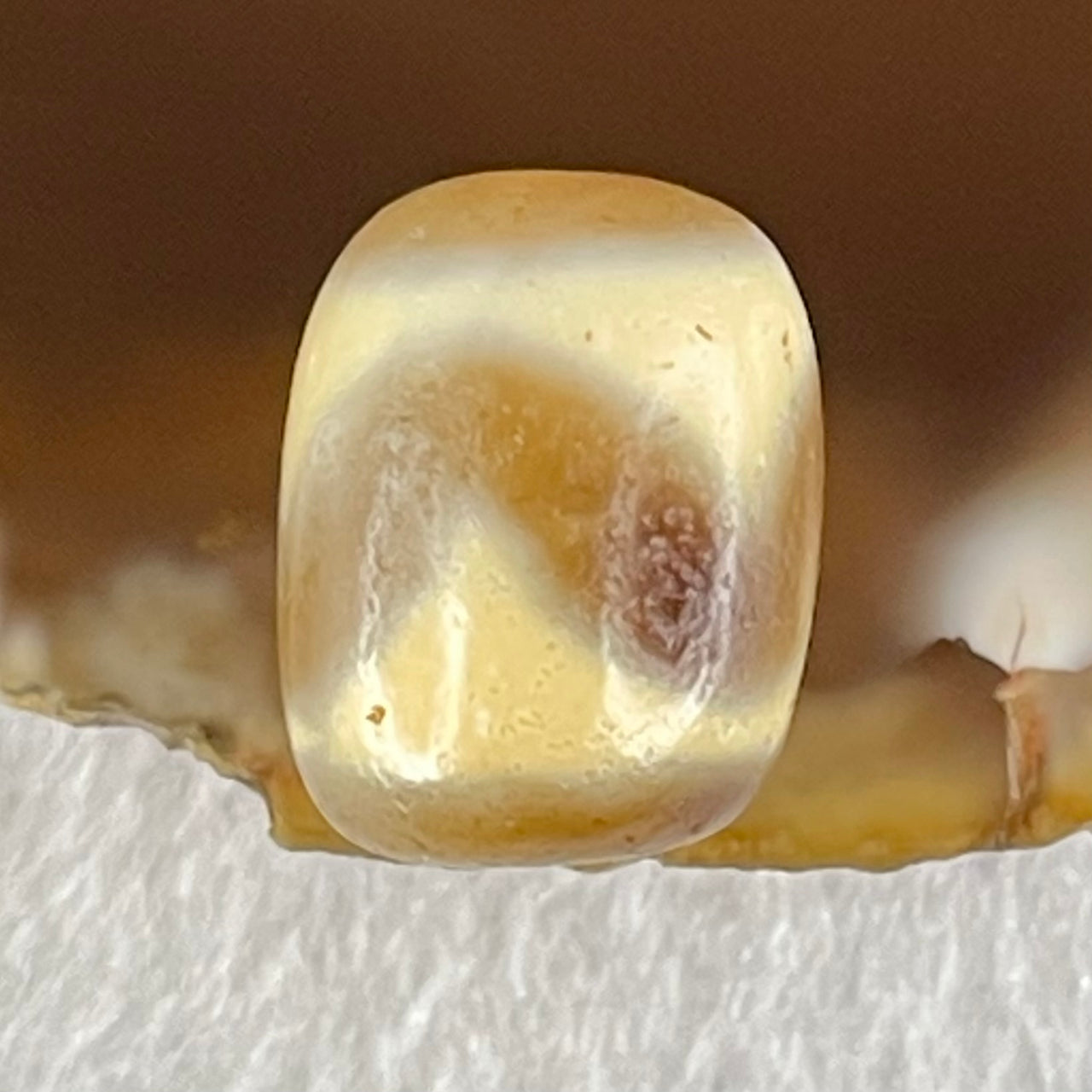 Natural Powerful Tibetan Old Oily Agate Tiger Tooth Daluo Dzi Bead Heavenly Master (Tian Zhu) 虎呀天诛 2.46g 13.4 by 10.7mm - Huangs Jadeite and Jewelry Pte Ltd