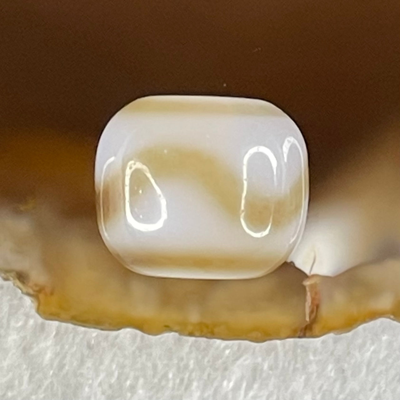Natural Powerful Tibetan Old Oily Agate Tiger Tooth Daluo Dzi Bead Heavenly Master (Tian Zhu) 2.08g 9.8 by 11.4mm - Huangs Jadeite and Jewelry Pte Ltd