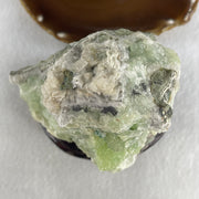 Natural Green Fluorite Rough Irregular Shape Display with Wooden Stand 1.017,9g 107.0 by 86.0 by 135.0mm - Huangs Jadeite and Jewelry Pte Ltd