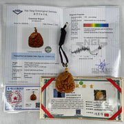 Grandmaster Type A Translucent Brownish Orange to Brownish Red with Light Blueish Green Jadeite Bird with Flower 花开富贵 Pendant 53.67g 49.27 by 46.37 by 12.66mm With NGI Cert 82838746 - Huangs Jadeite and Jewelry Pte Ltd