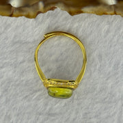 Natural Green Amber with Milk Inclusions in S925 Sliver Gold Color Ring (Adjustable Size) 2.17g 90.0 by 4.0mm - Huangs Jadeite and Jewelry Pte Ltd