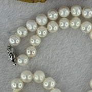 Natural Fresh Water White Pearl Necklace with S925 Sliver Clasps 天然淡水白珍珠项链 48.68g 8.8mm 46 Bead - Huangs Jadeite and Jewelry Pte Ltd