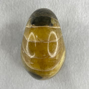 Natural Ammonite Ammonoid Fossil with Wooden Stand 257.9g 82.4 y 64.1 by 97.0mm - Huangs Jadeite and Jewelry Pte Ltd