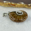 Natural Ammolite Fossil In Sliver Pendent/Charm 14.36g 31.5 by 26.5 by 10.5mm - Huangs Jadeite and Jewelry Pte Ltd