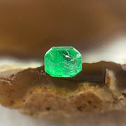 Natural Colombia Vivid Green Emerald (Beryl) Cut-Cornered Rectangular Step cut 0.47ct 4.6 by 4.2 by 3.3mm - Huangs Jadeite and Jewelry Pte Ltd