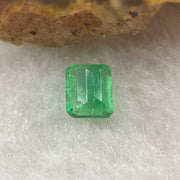 Natural Colombia Green Emerald (Beryl) Cut-Cornered Rectangular step cut 0.60ct 5.6 by 4.9 by 2.9mm - Huangs Jadeite and Jewelry Pte Ltd