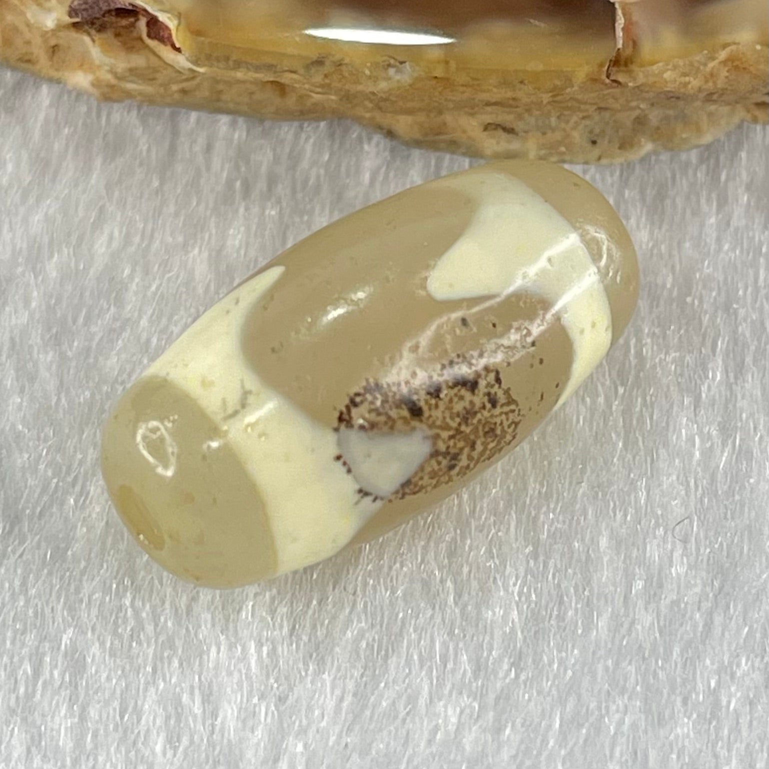 Natural Powerful Tibetan Old Oily Agate Tiger Tooth Daluo Dzi Bead Heavenly Master (Tian Zhu) 虎呀天诛 3.00g 20.1 by 10.1mm - Huangs Jadeite and Jewelry Pte Ltd