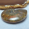 Natural Ammolite Fossil Display 61.89g 59.5 by 49.0 by 17.5mm - Huangs Jadeite and Jewelry Pte Ltd