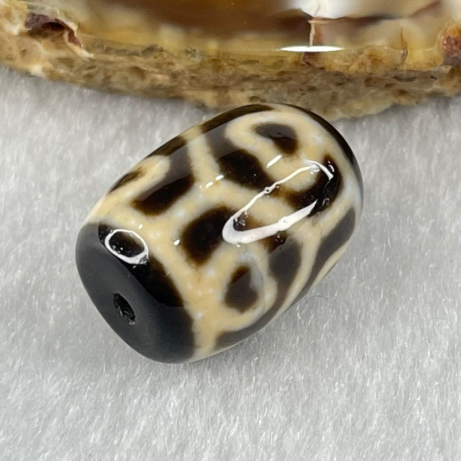 Natural Powerful Tibetan Old Oily Agate 6 Hearts Tortoise Shell Dzi Bead Heavenly Master (Tian Zhu) 六心龟壳天珠 5.01g 18.1 by 13.1mm - Huangs Jadeite and Jewelry Pte Ltd