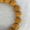Natural Bodhi Rudraksha Seed Mala 金风 Beads Bracelet 14.58g 12.1 mm 20 Beads - Huangs Jadeite and Jewelry Pte Ltd