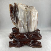 Natural White Yellow Brown Fossilised Petrified Wood with Wooden Stand Display 1,877.7g 160.0 by 107.0 by 200.0mm - Huangs Jadeite and Jewelry Pte Ltd