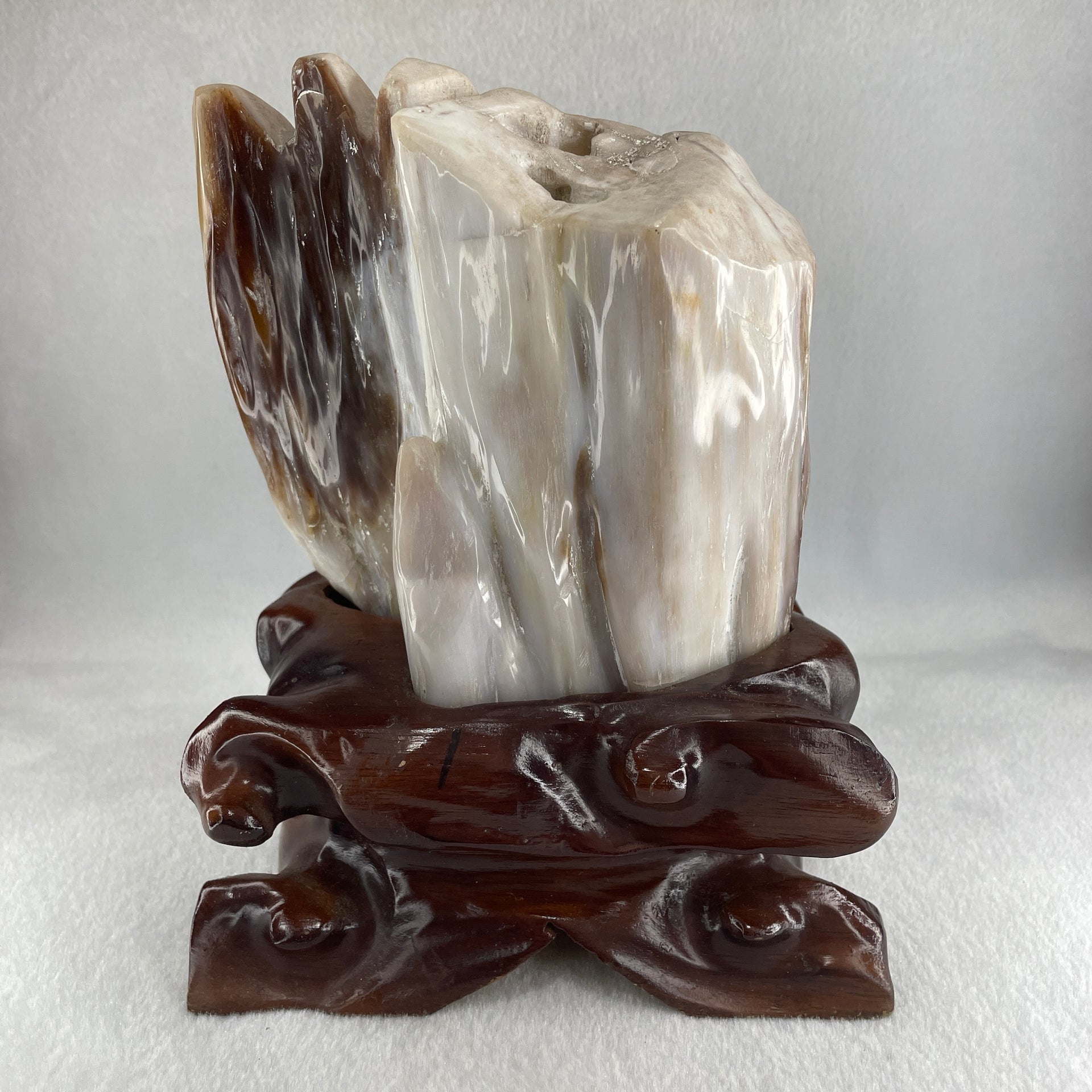 Natural White Yellow Brown Fossilised Petrified Wood with Wooden Stand Display 1,877.7g 160.0 by 107.0 by 200.0mm - Huangs Jadeite and Jewelry Pte Ltd