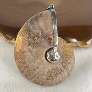 Natural Ammonite Fossil in Silver Pendant 71.05g 62.6 by 51.9 by 17.4mm - Huangs Jadeite and Jewelry Pte Ltd