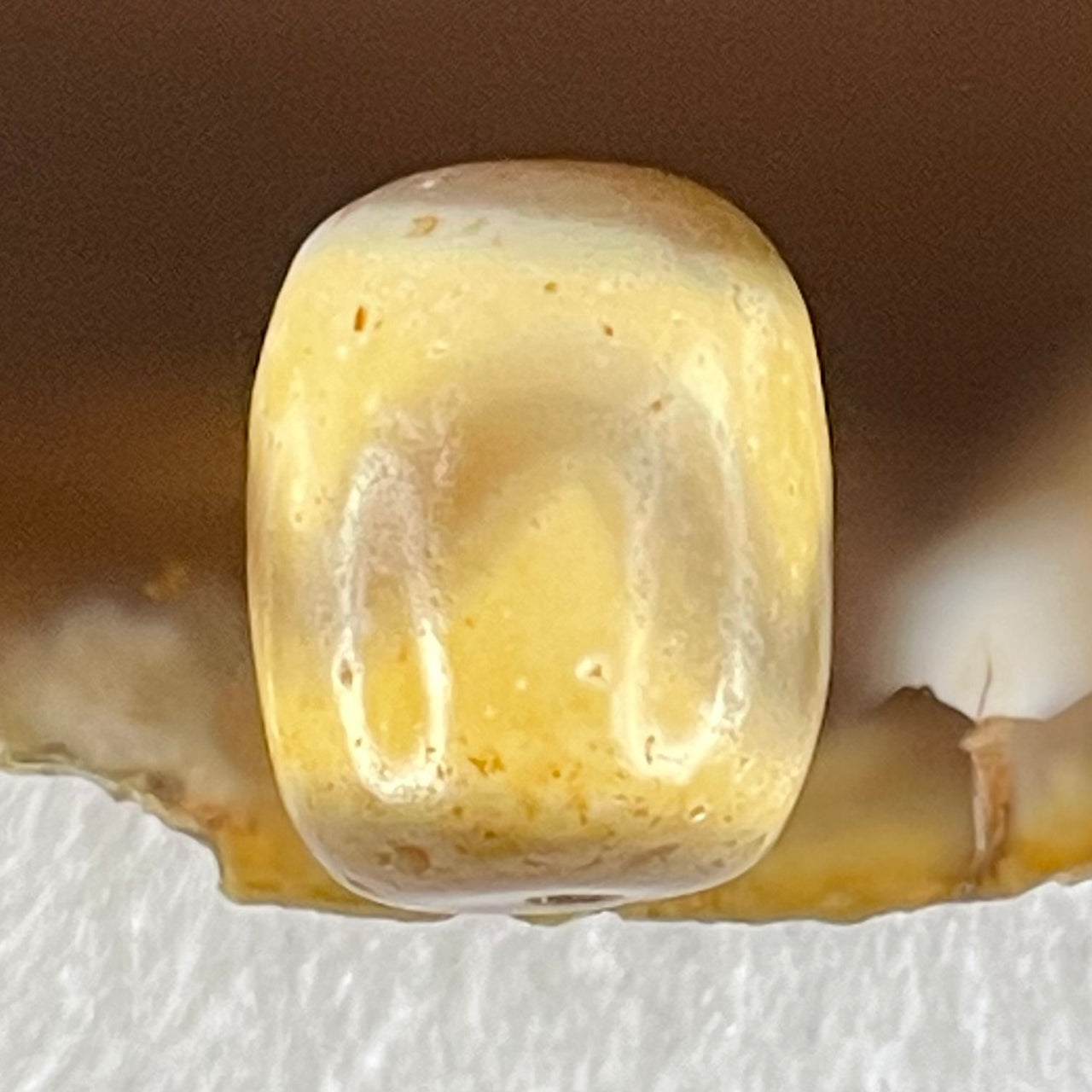 Natural Powerful Tibetan Old Oily Agate Tiger Tooth Daluo Dzi Bead Heavenly Master (Tian Zhu) 虎呀天诛 2.79g 14.1 by 11.2mm - Huangs Jadeite and Jewelry Pte Ltd