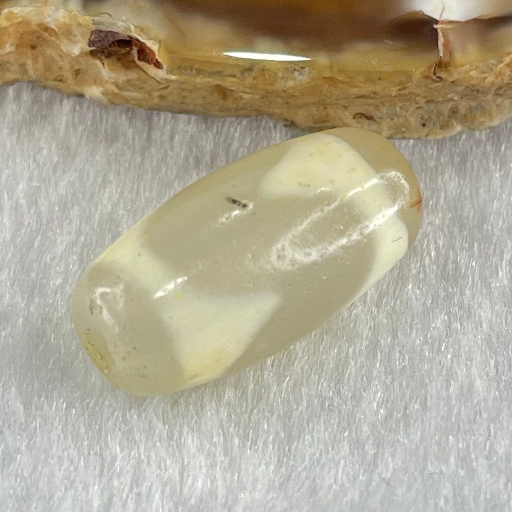 Natural Powerful Tibetan Old Oily Agate Tiger Tooth Daluo Dzi Bead Heavenly Master (Tian Zhu) 虎呀天诛 2.98g 20.1 by 10.3mm - Huangs Jadeite and Jewelry Pte Ltd