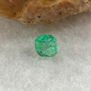 Natural Colombia Vivid Green Emerald (Beryl) Cut-Cornered Square Step cut 0.41ct 4.5 by 4.3 by 3.2mm - Huangs Jadeite and Jewelry Pte Ltd