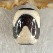 Natural Powerful Tibetan Old Oily Agate Tiger Tooth Daluo Dzi Bead Heavenly Master (Tian Zhu) 虎呀天诛 4.32g 17.4 by 12.8mm - Huangs Jadeite and Jewelry Pte Ltd