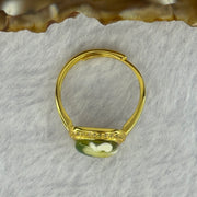 Natural Green Amber with Milk Inclusions in S925 Sliver Gold Color Ring (Adjustable Size) 2.31g 9.5 by 3.0mm - Huangs Jadeite and Jewelry Pte Ltd