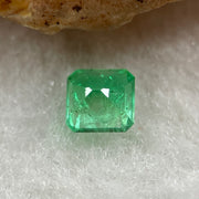 Natural Colombia Vivid Green Emerald (Beryl) Cut-Cornered Square Step cut 0.43ct 4.6 by 4.5 by 3.2mm - Huangs Jadeite and Jewelry Pte Ltd