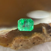 Natural Colombia Green Emerald (Beryl) Cut-Cornered Rectangular step cut 0.53ct 4.4 by 4.0 by 3.9mm - Huangs Jadeite and Jewelry Pte Ltd