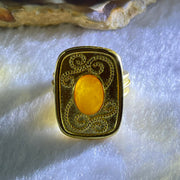 Natural Butterscotch Amber in  Sliver Gold Color Ring (Adjustable Size) 7.53g 10.2 by 6.6 by 3.5mm - Huangs Jadeite and Jewelry Pte Ltd