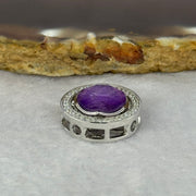 Natural Meteorite Spinning High Energy Feng Shui Charm in S925 Silver with Crystals For Necklace / Bracelet (Purple Color) 4.10g 16.8 by 7.6mm - Huangs Jadeite and Jewelry Pte Ltd