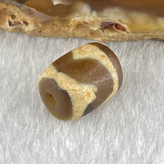 Natural Powerful Tibetan Old Oily Dark Brown Yellow Agate Tiger Tooth Daluo Dzi Bead Heavenly Master (Tian Zhu) 2.06g 12.2 by 10.1mm - Huangs Jadeite and Jewelry Pte Ltd