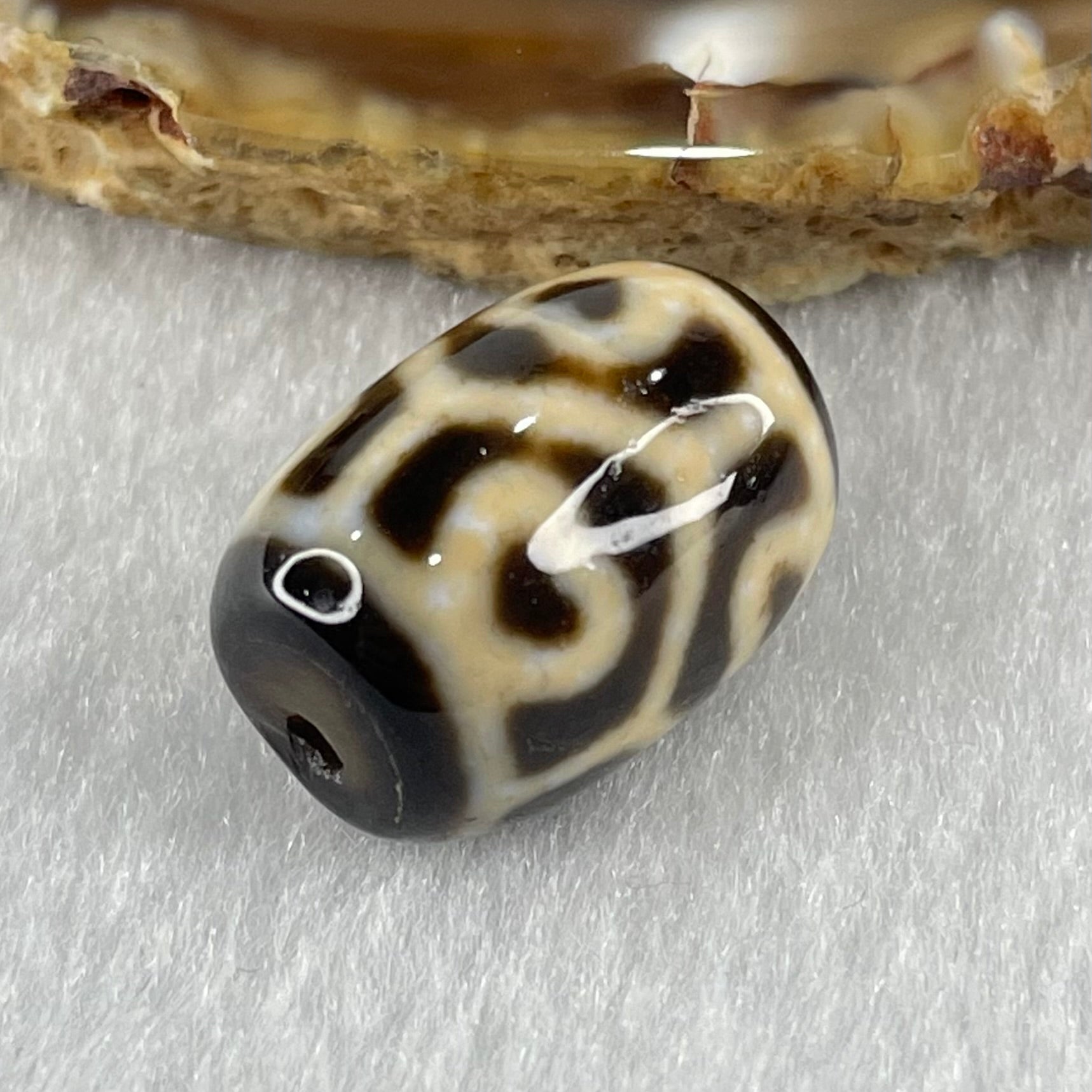 Natural Powerful Tibetan Old Oily Agate 6 Hearts Tortoise Shell Dzi Bead Heavenly Master (Tian Zhu) 六心龟壳天珠 5.01g 18.1 by 13.1mm - Huangs Jadeite and Jewelry Pte Ltd