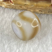 Natural Powerful Tibetan Old Oily Agate Tiger Tooth Daluo Dzi Bead Heavenly Master (Tian Zhu) 2.01g 9.6 by 11.3mm - Huangs Jadeite and Jewelry Pte Ltd