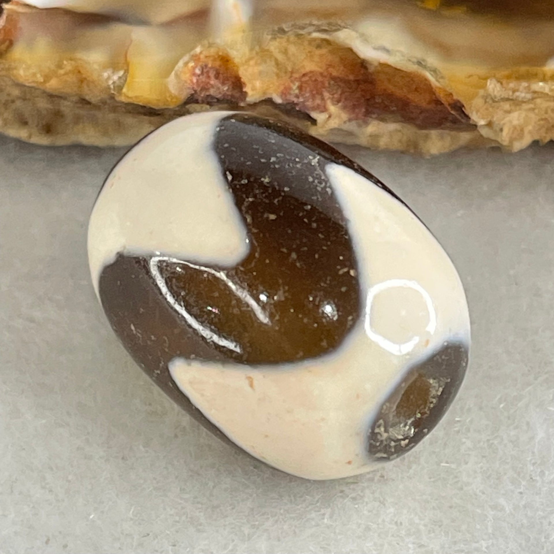 Natural Powerful Tibetan Old Oily Agate Tiger Tooth Daluo Dzi Bead Heavenly Master (Tian Zhu) 虎呀天诛 4.40g 17.4 by 12.9mm - Huangs Jadeite and Jewelry Pte Ltd