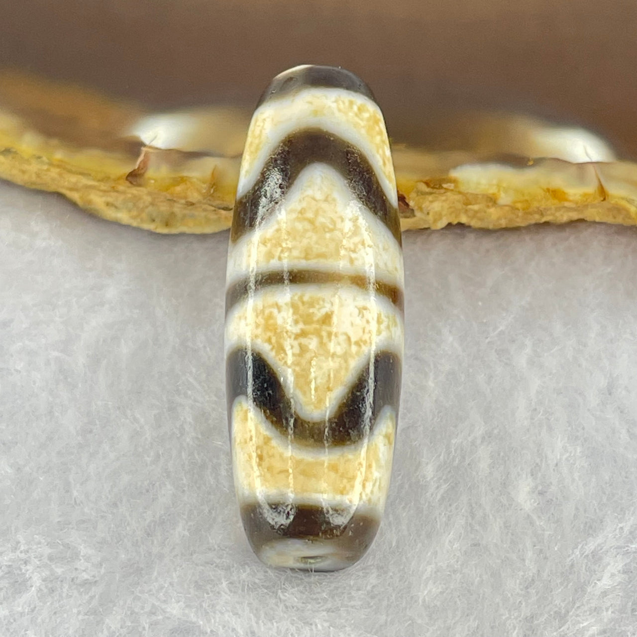 Natural Powerful Tibetan Old Oily Dark Brown White Yellow Agate Double Tiger Tooth Daluo Dzi Bead Heavenly Master (Tian Zhu) 双虎呀天诛 9.73g 37.4 by 13.1mm - Huangs Jadeite and Jewelry Pte Ltd