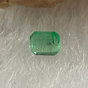 Natural Colombia Vivid Green Emerald (Beryl) Cut-Cornered Rectangular Step cut 0.08ct 2.7 by 2.0 by 1.8mm - Huangs Jadeite and Jewelry Pte Ltd