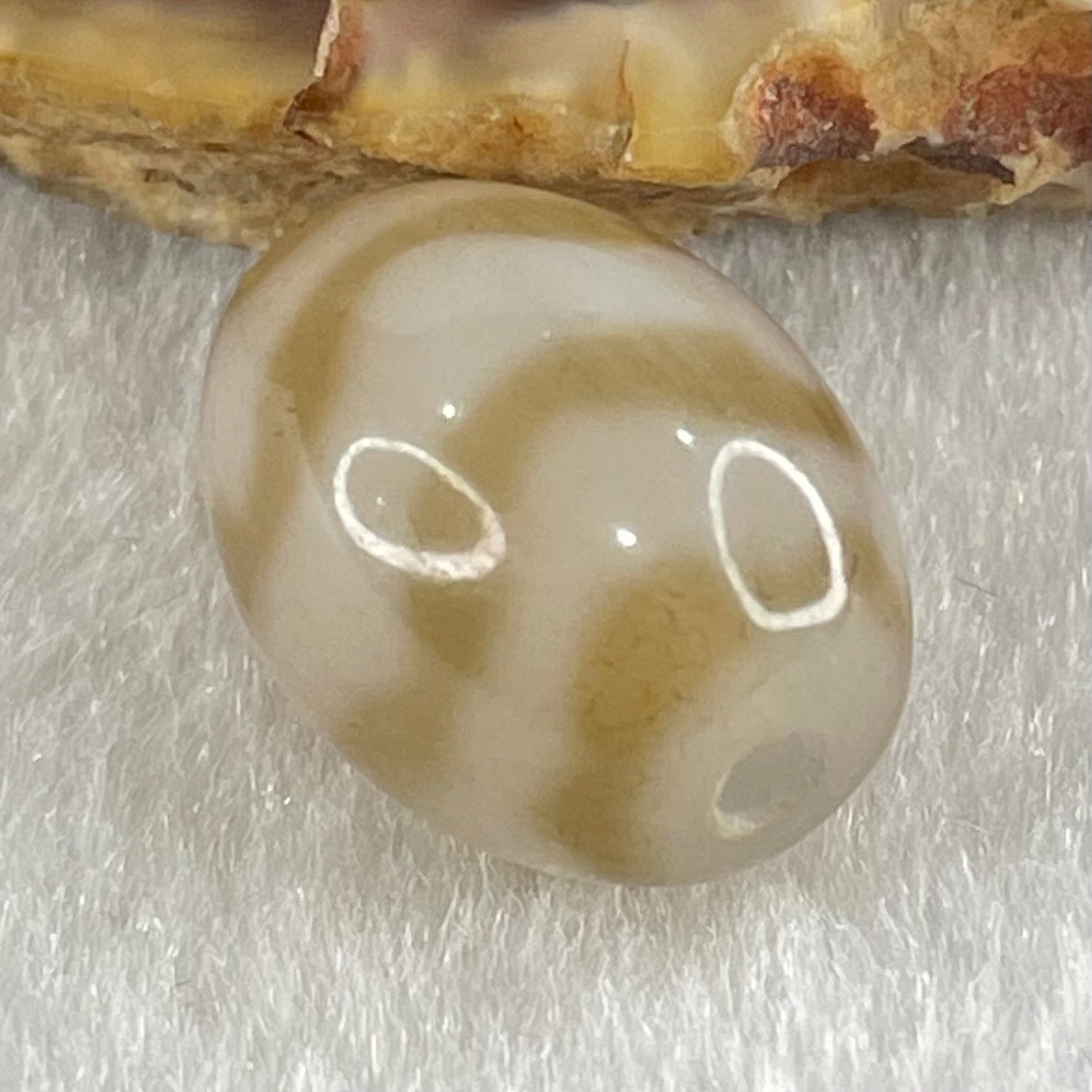 Natural Powerful Tibetan Old Oily Agate Double Tiger Tooth Daluo Dzi Bead Heavenly Master (Tian Zhu) 虎呀天诛 3.27g 15.9 by 12.2mm - Huangs Jadeite and Jewelry Pte Ltd