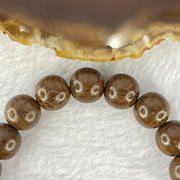 Natural Six Way Wooden Beads Bracelet 六道木手链 10.80g 17cm 10.8mm 19 Beads - Huangs Jadeite and Jewelry Pte Ltd