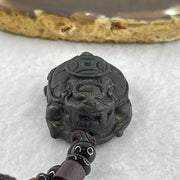 Rare Natural Tibetan Meteorite Tektite Dragon Turtle Pendent 26.63g 33.8 by 23.9 by 14.3mm - Huangs Jadeite and Jewelry Pte Ltd